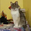 Отзыв от Зоя Ильинская
